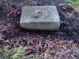 image of grave number 397209